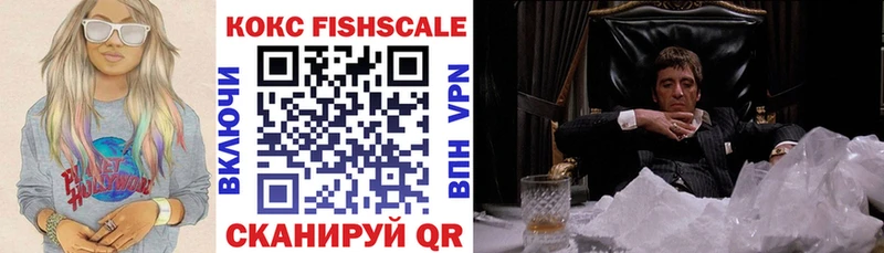 Кокаин FishScale  где купить наркоту  МЕГА зеркало  Каменногорск 