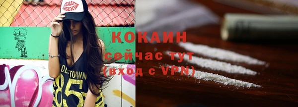 мдпв Касимов