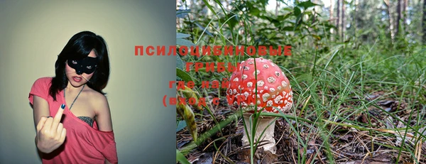 мдпв Касимов