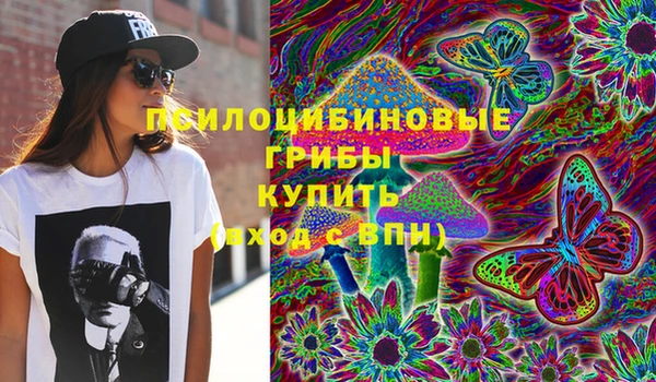 мдпв Касимов