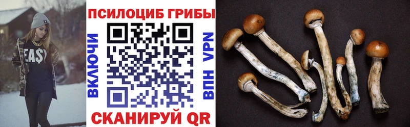 Псилоцибиновые грибы ЛСД  площадка формула  Каменногорск 